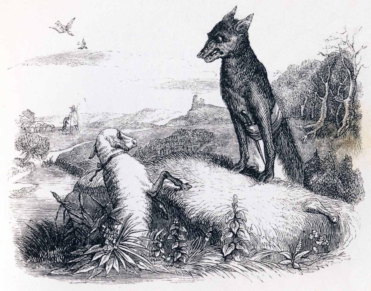 The Wolf and the Lamb - Fables by La Fontaine by Grandville