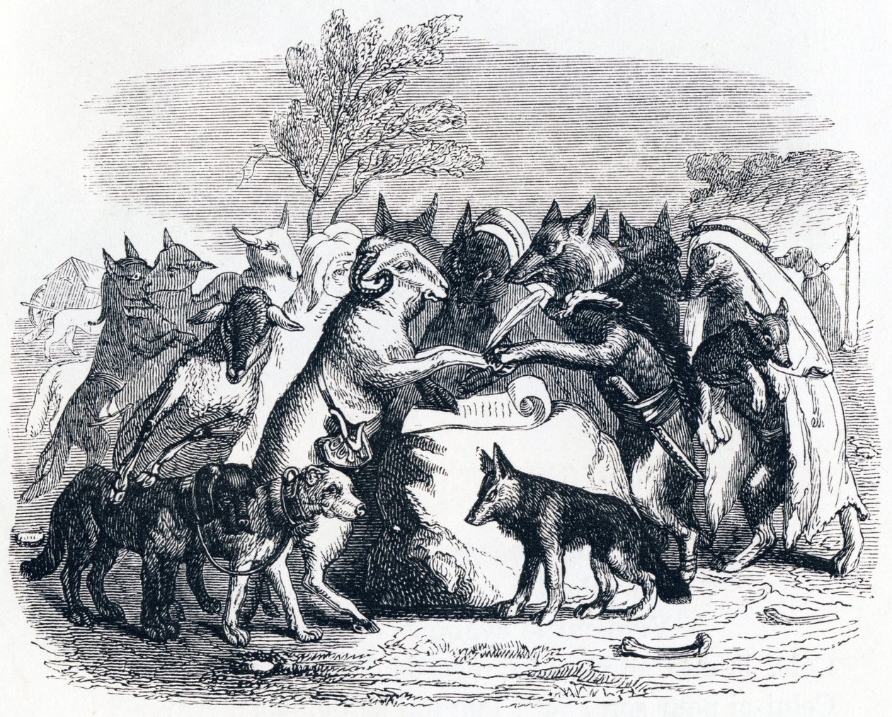 The wolves and the ewes - Fables by La Fontaine by Grandville