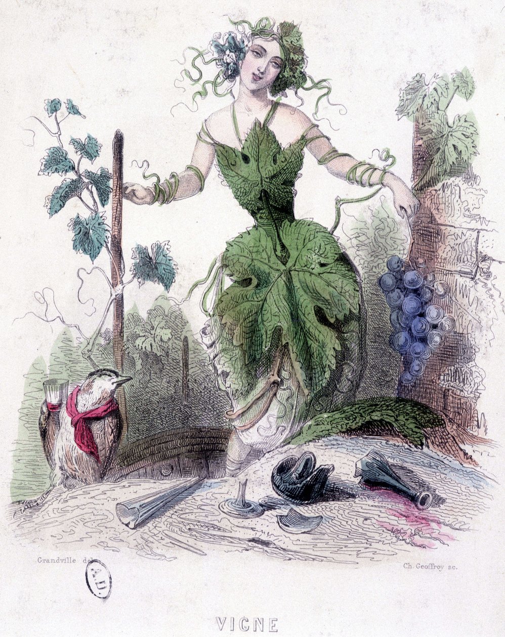 Woman, allegory of the vine - drawing by Grandville by Grandville