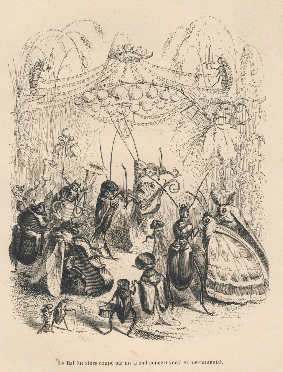 Insect Concert at a Ball by Grandville: Buy fine art prints