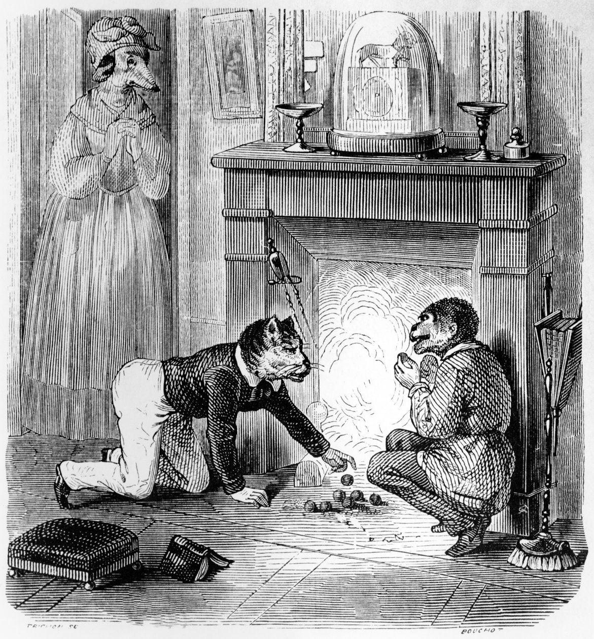 The Monkey and the Cat, Illustration for 