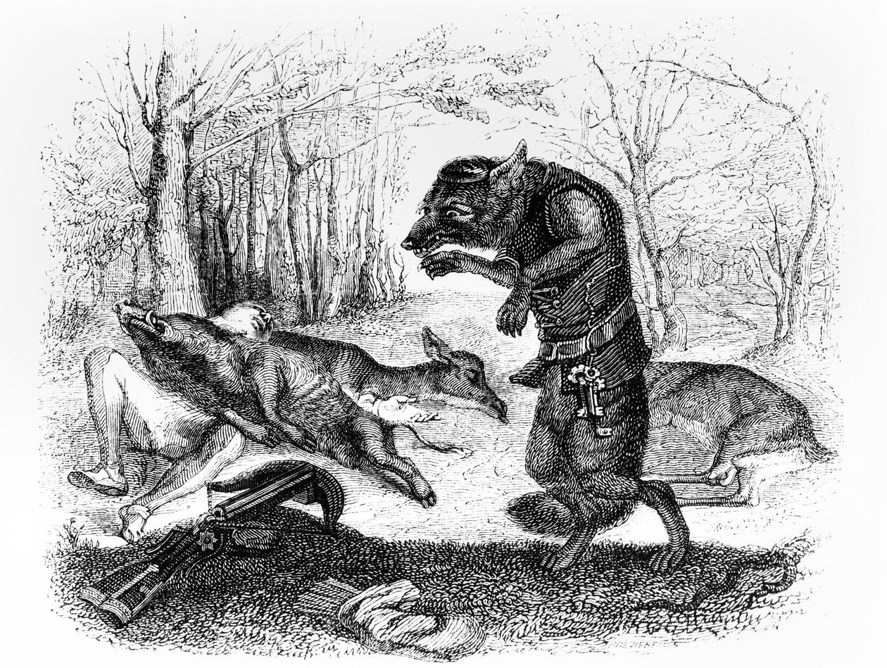 The Wolf and the Hunter, Illustration for 