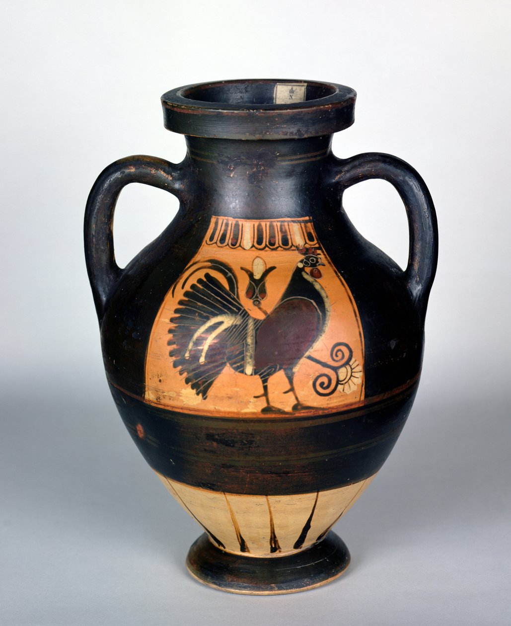 Amphora Depicting a Cockerel, Corinthian Style by Greek