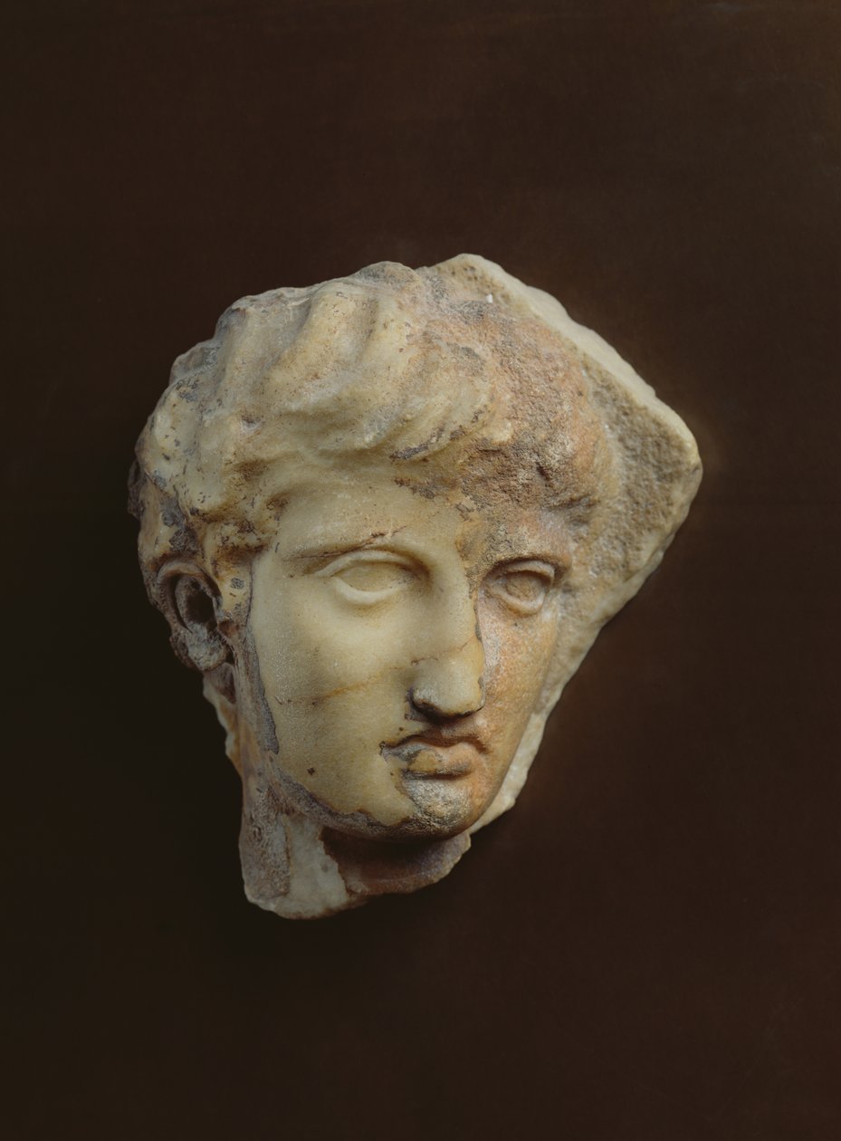 Head of a Cavalier Known as La Coulonche by Greek
