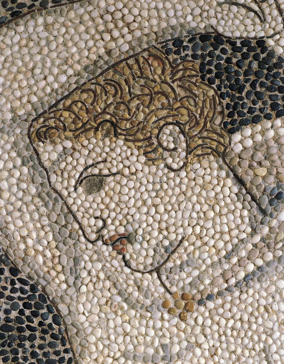 Head of Krateros (detail) by Greek School