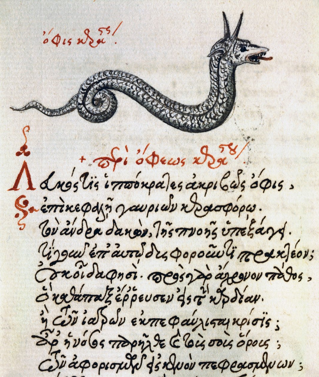 Treatise on Basilisk from De animalium natura et proprietate libellus by Greek School