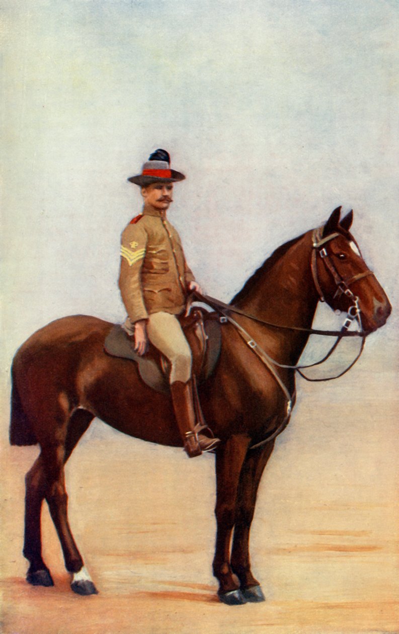 Sergeant-Major of the New South Wales Lancers, 1900 by Gregory and Co