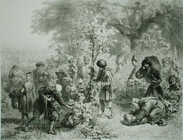 Grape Harvest in Kakhetie, Georgia, plate 30 from a book on the Caucasus, engraved by Eugene Le Roux, published by Alfred Leon Lemercier, Paris by Grigori Grigorevich (after) Gagarin