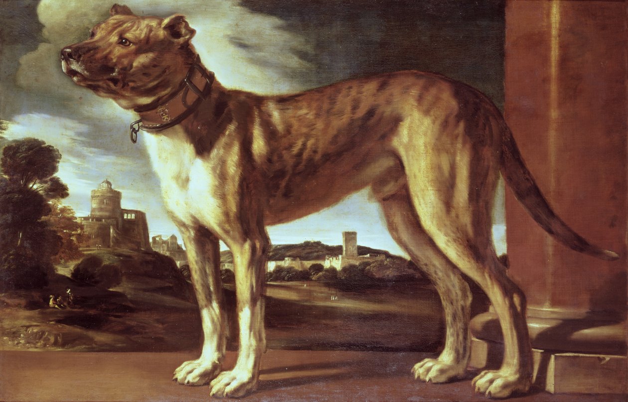 Portrait of a Dog by Giovanni Francesco Barbieri