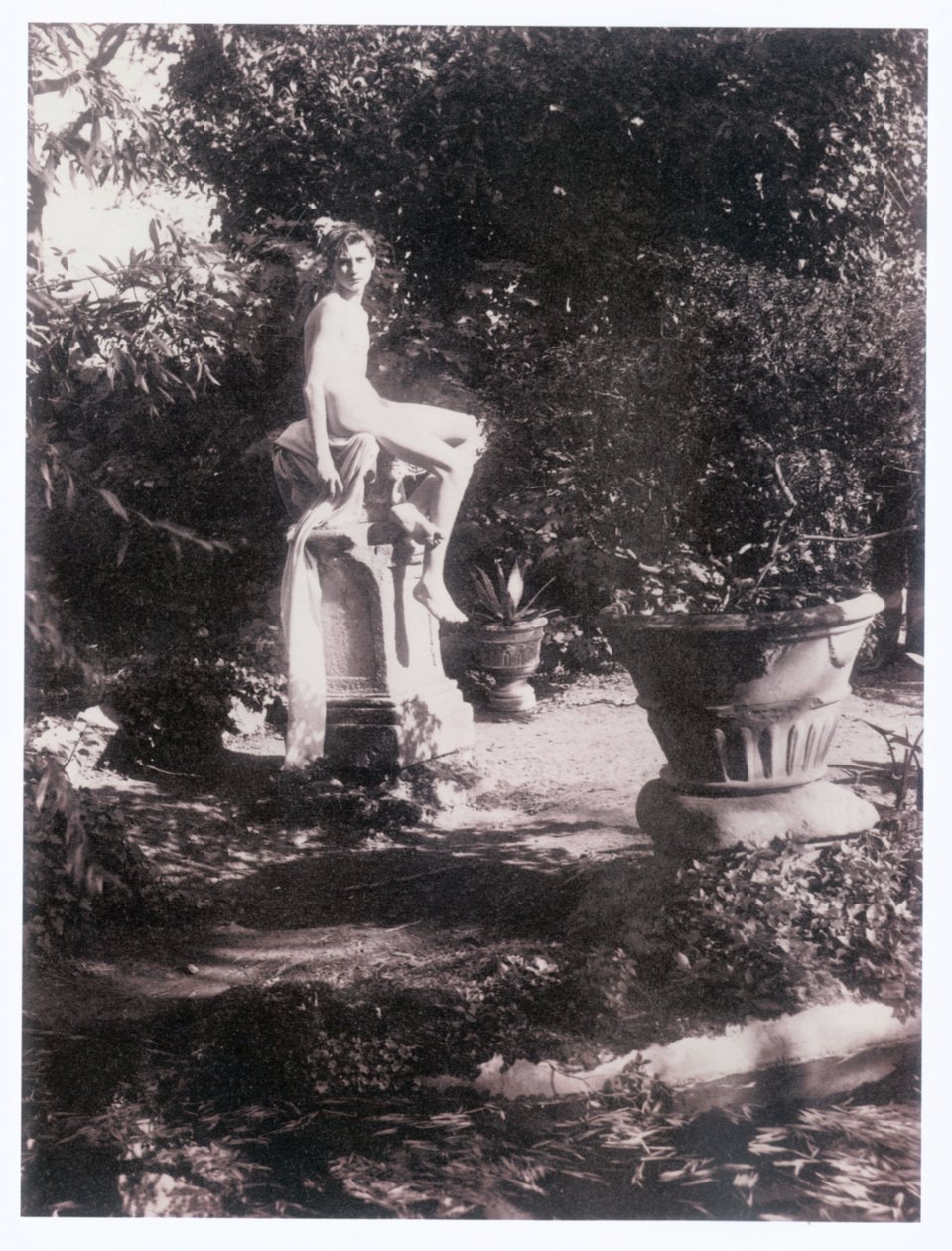 Photograph by Guglielmo (1852 1930) Plüschow