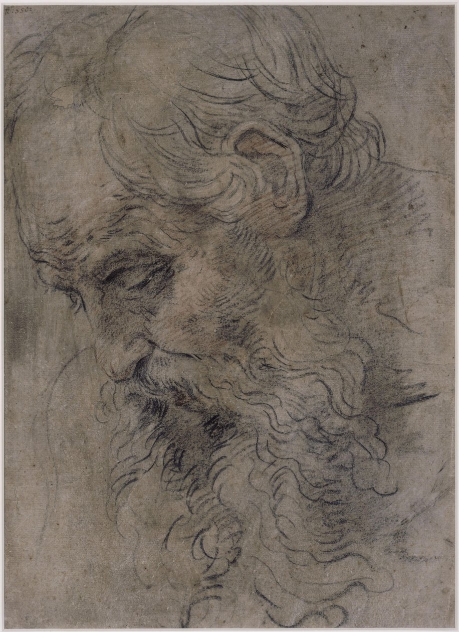 Head of Saint Paul the Hermit by Guido Reni