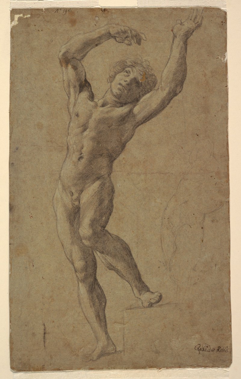 Study for St. Sebastian, Museo Pomarici Santomasi, Puglia, Italy by Guido Reni