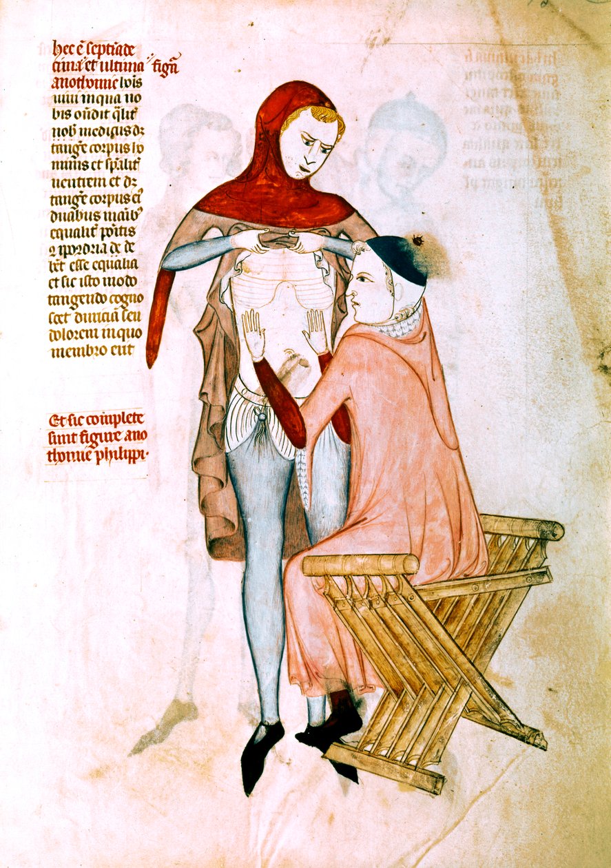 Physician examining the patient by Guido da Vigevano da Pavia