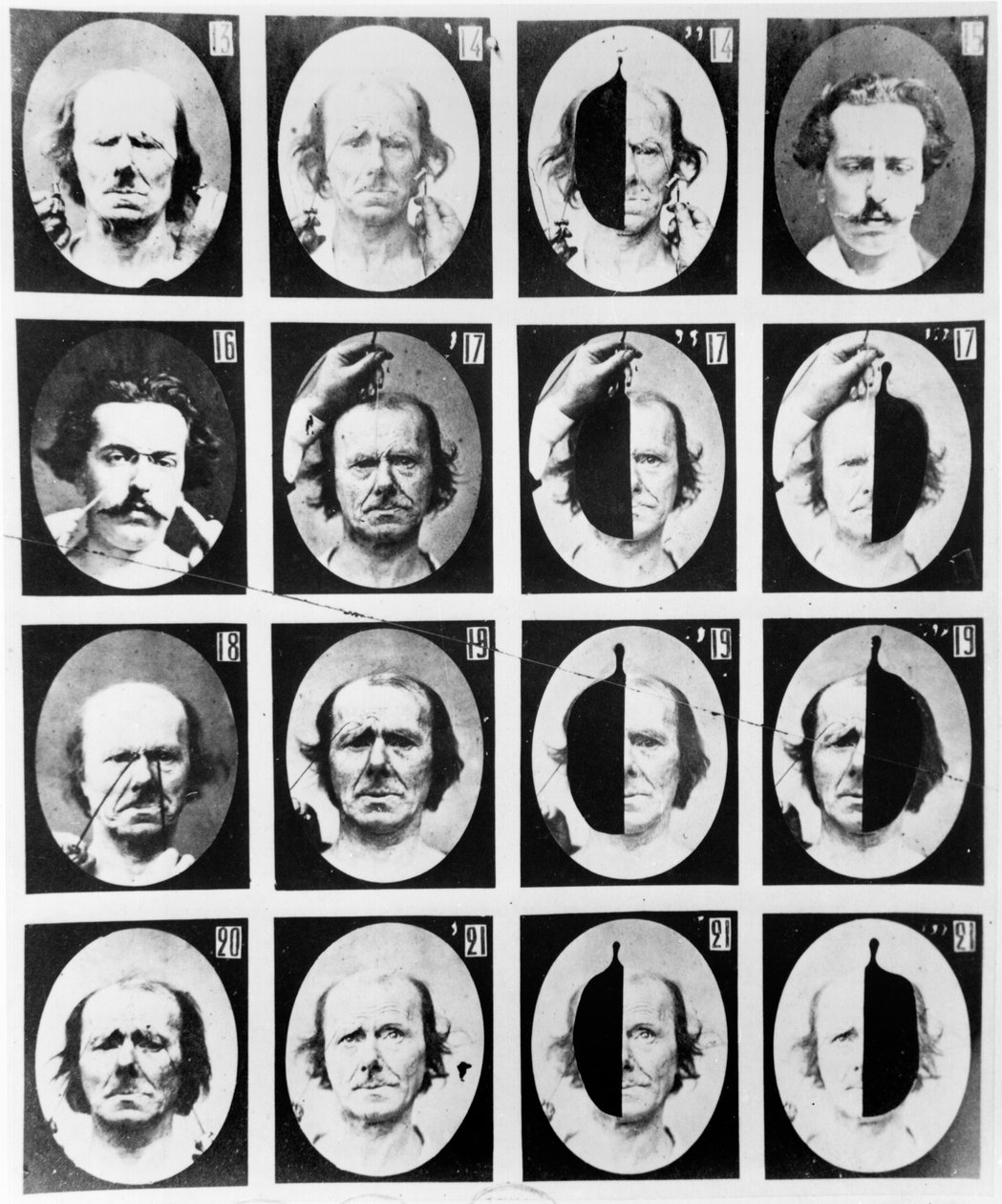 Physiognomical studies, from 