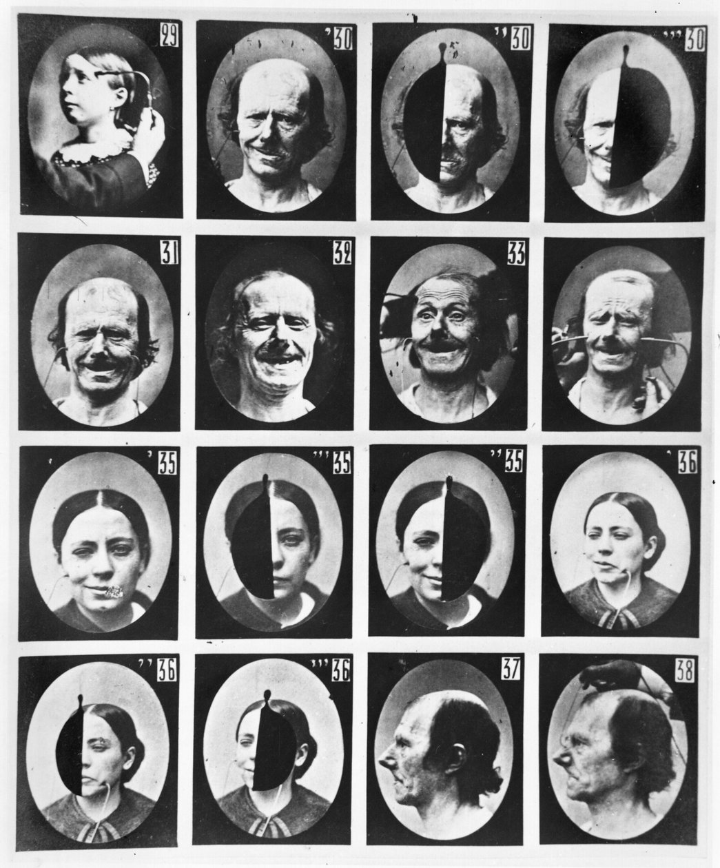 Physiognomical studies, from 