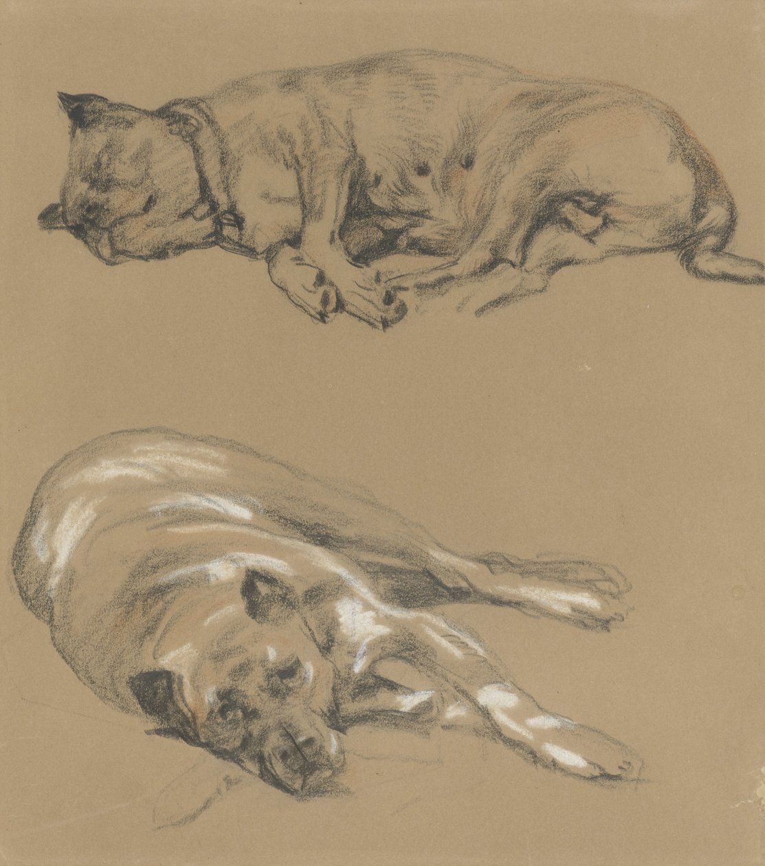 Two Studies of a Lying Dog by Guillaume Anne van der Brugghen