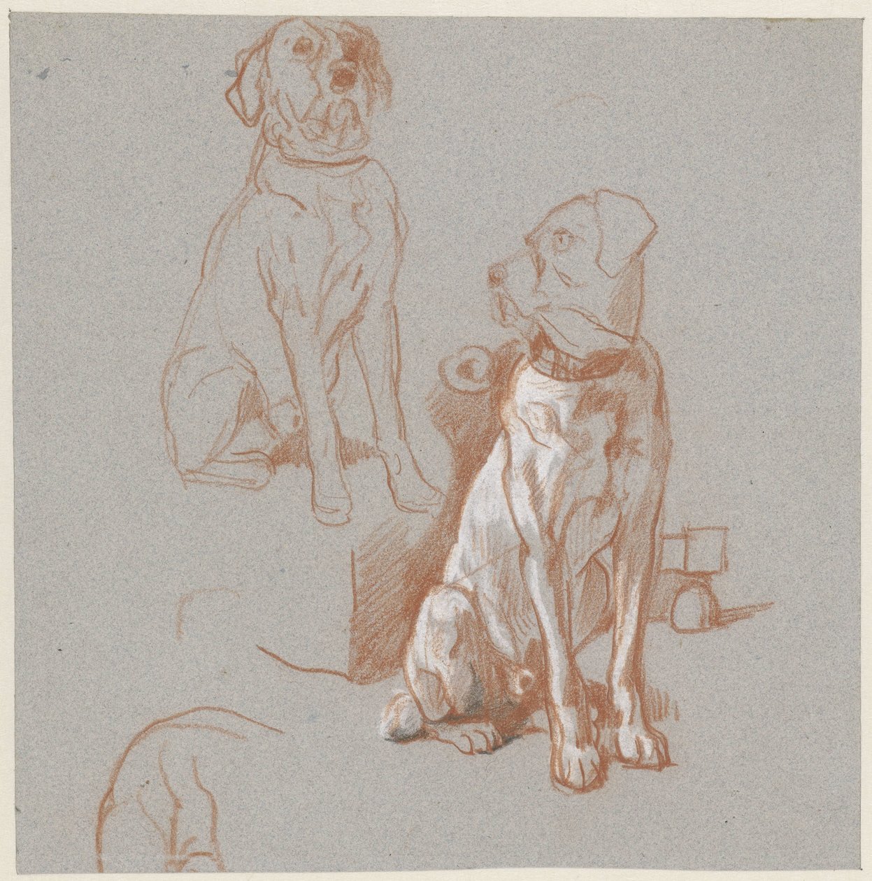 Two Studies of a Sitting Dog by Guillaume Anne van der Brugghen