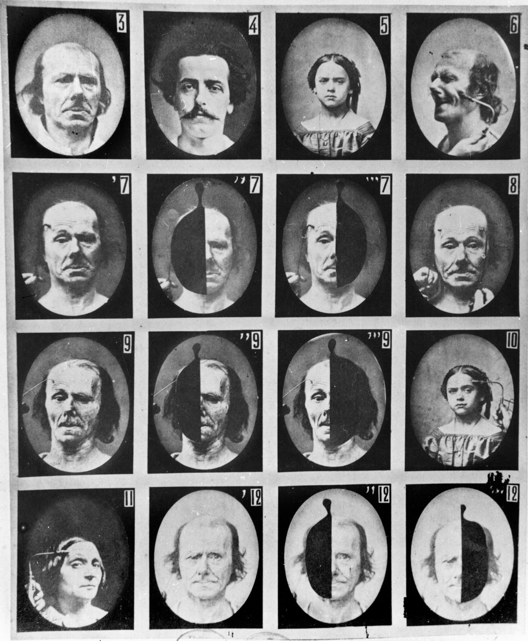 Physiognomical Studies, from 
