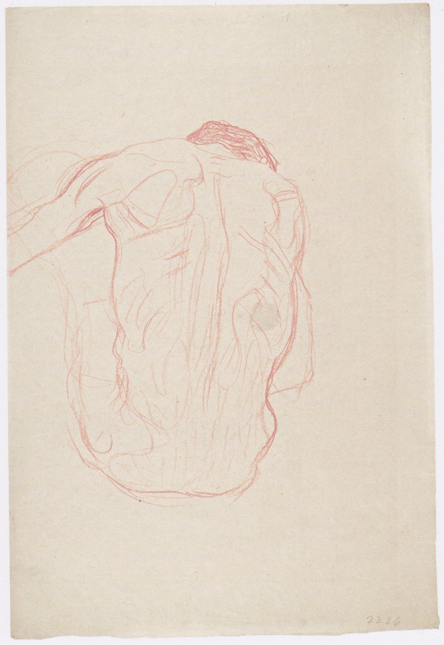 Seated Male Nude from Behind by Gustav Klimt