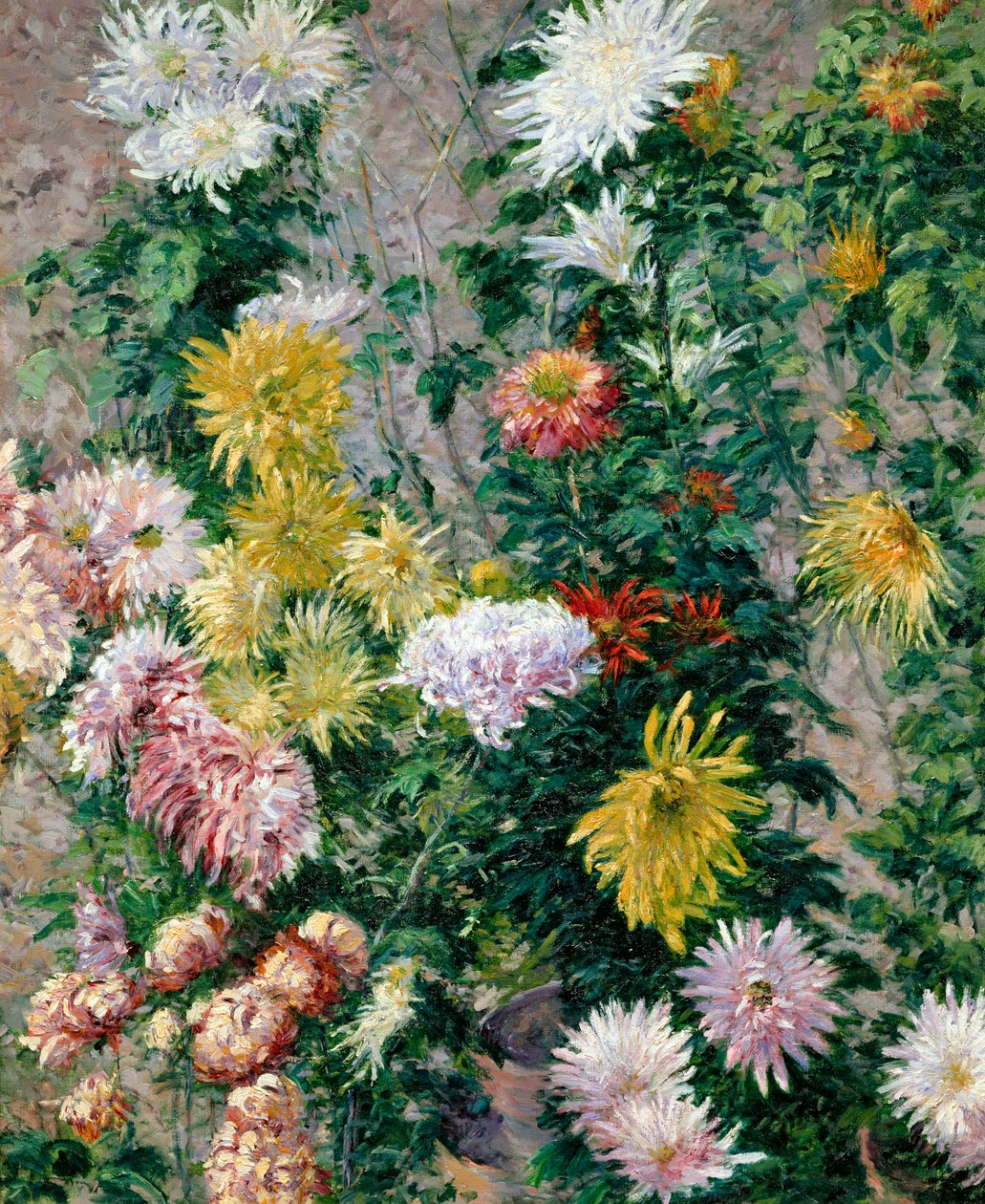 White and Yellow Chrysanthemums, 1893 by Gustave Caillebotte