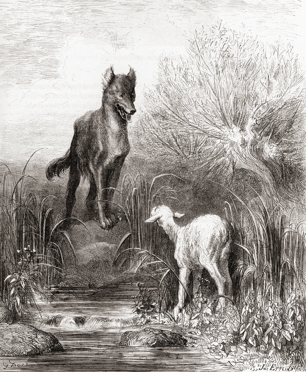 The Wolf and the Lamb, from a late 19th century edition of Fables de La Fontaine by Gustave Dore