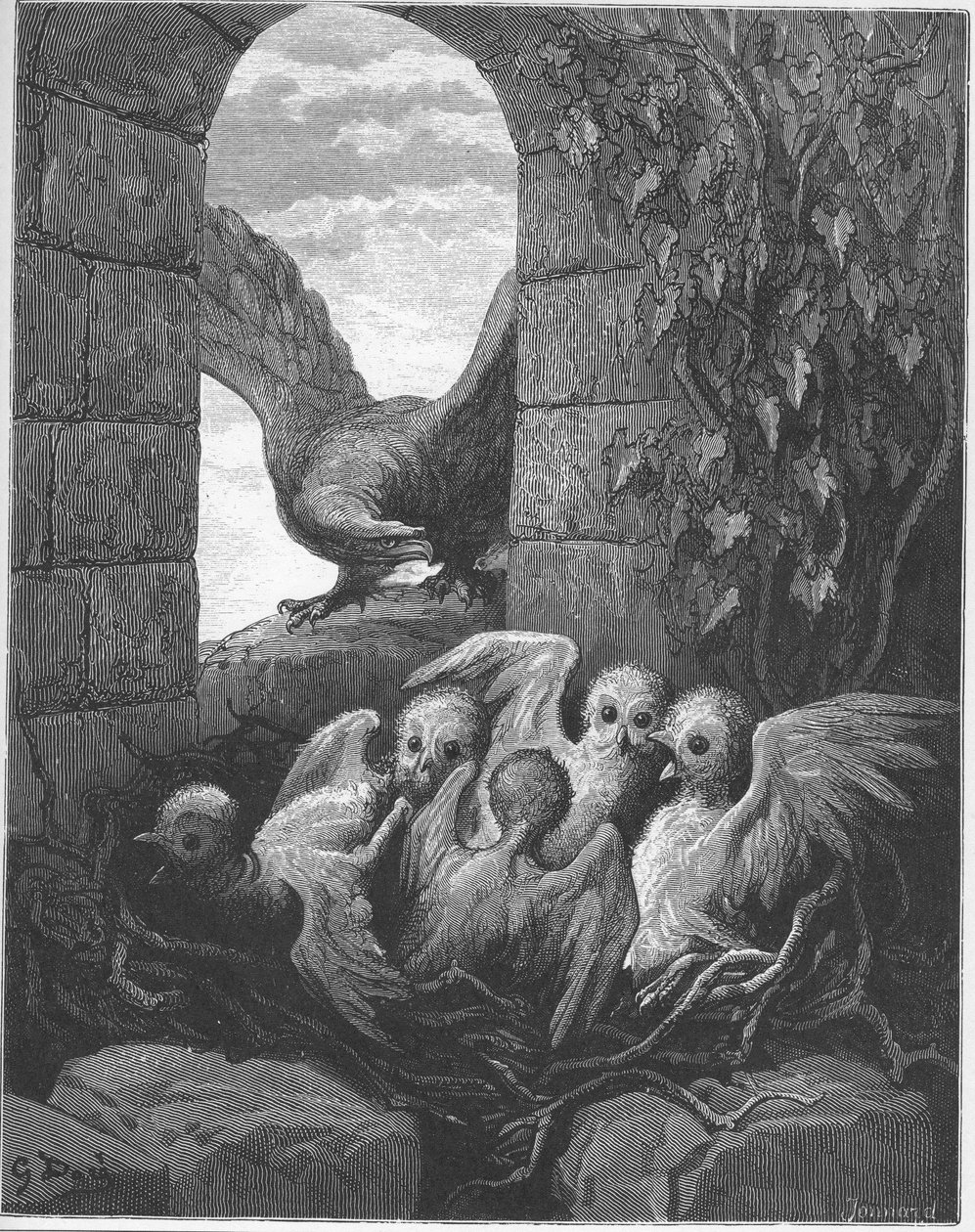The Eagle and the Owl - from 