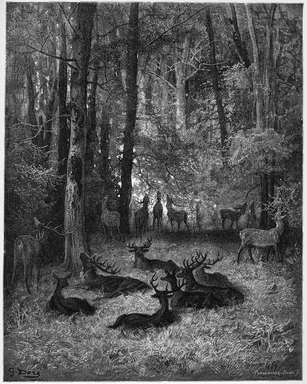 The Sick Deer - from 