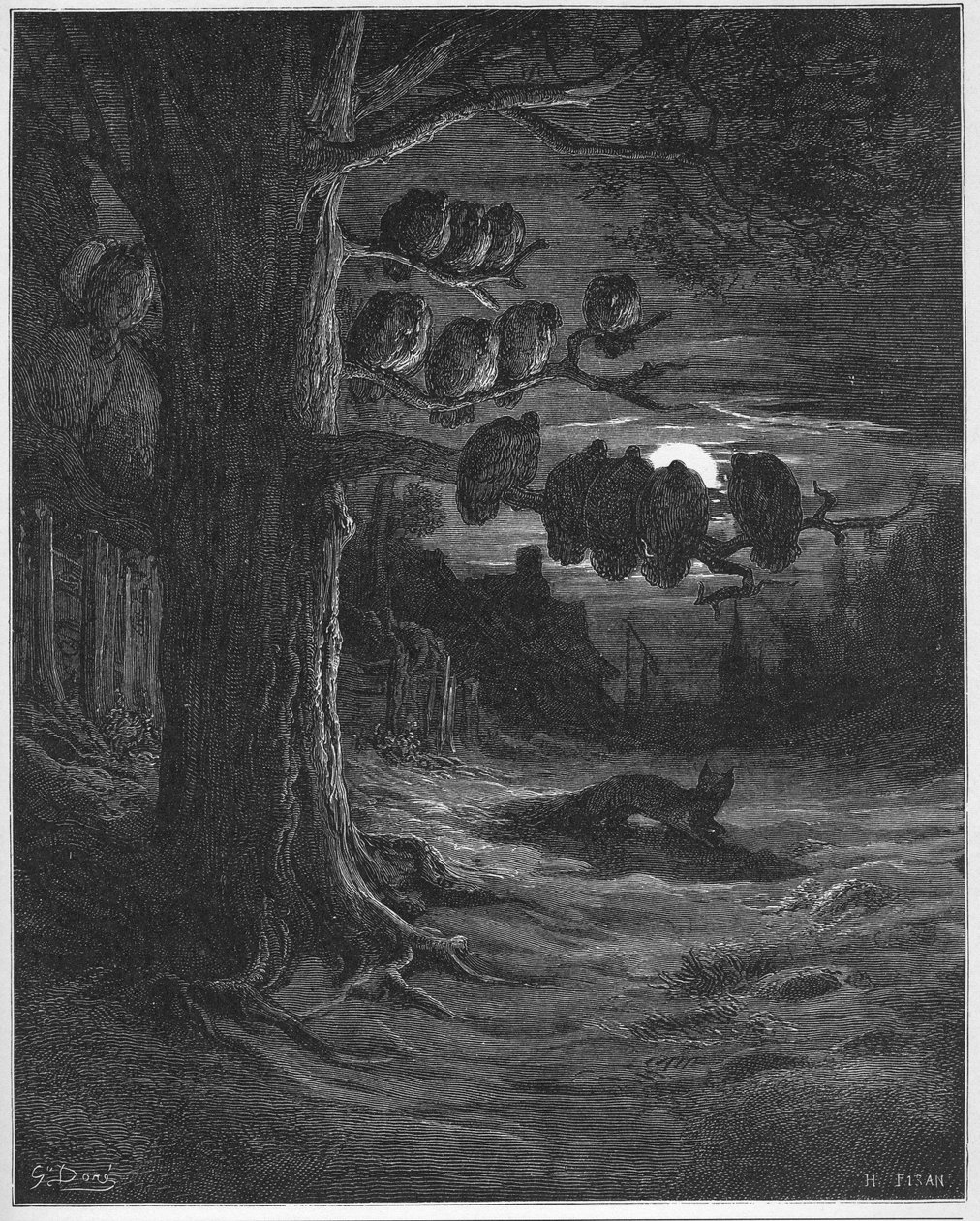 The Fox and the Turkeys - from 