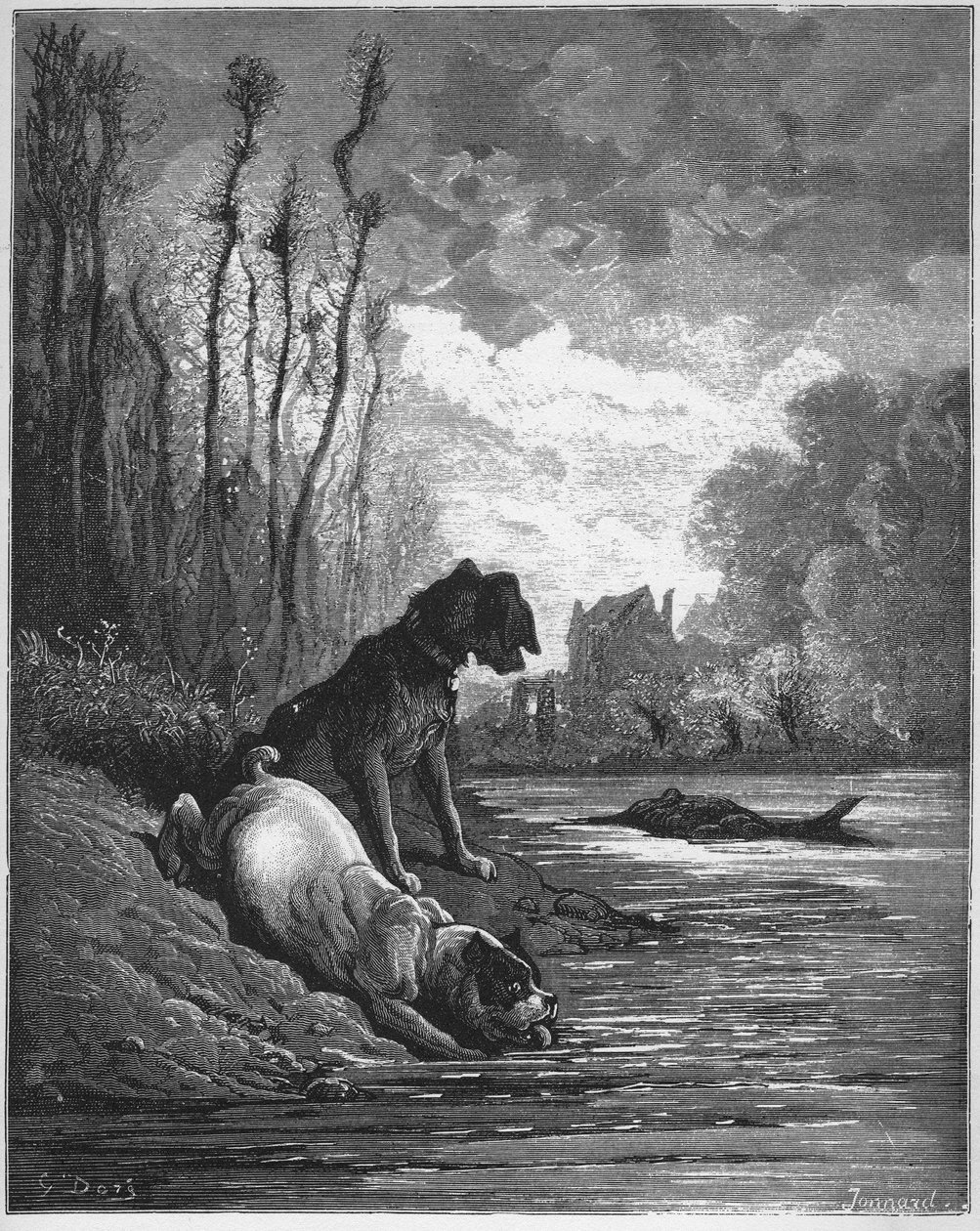 The Two Dogs and the Dead Donkey - from 