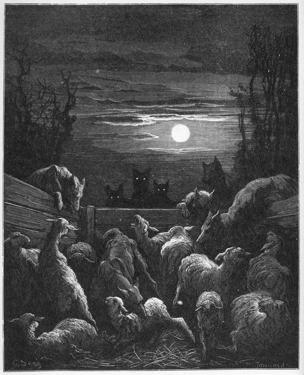 Les Loups et les Ebis - from 
