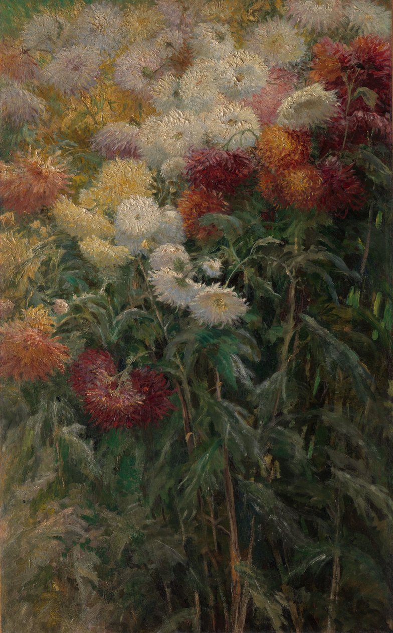 Chrysanthemums in the Garden at Petit-Gennevilliers by Gustave Caillebotte