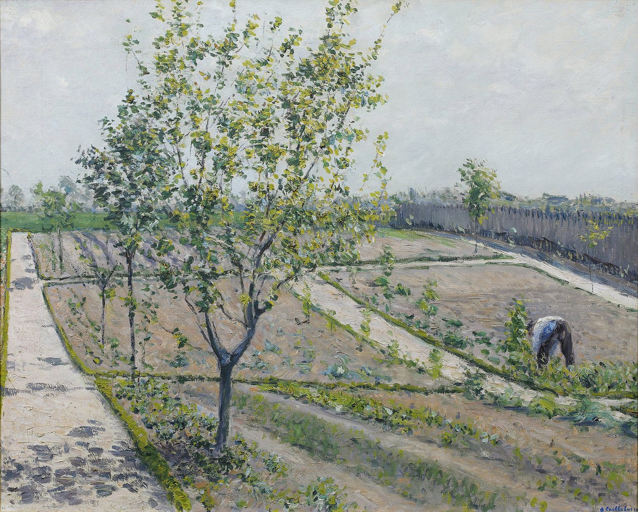 Kitchen Garden, Petit Gennevilliers by Gustave Caillebotte