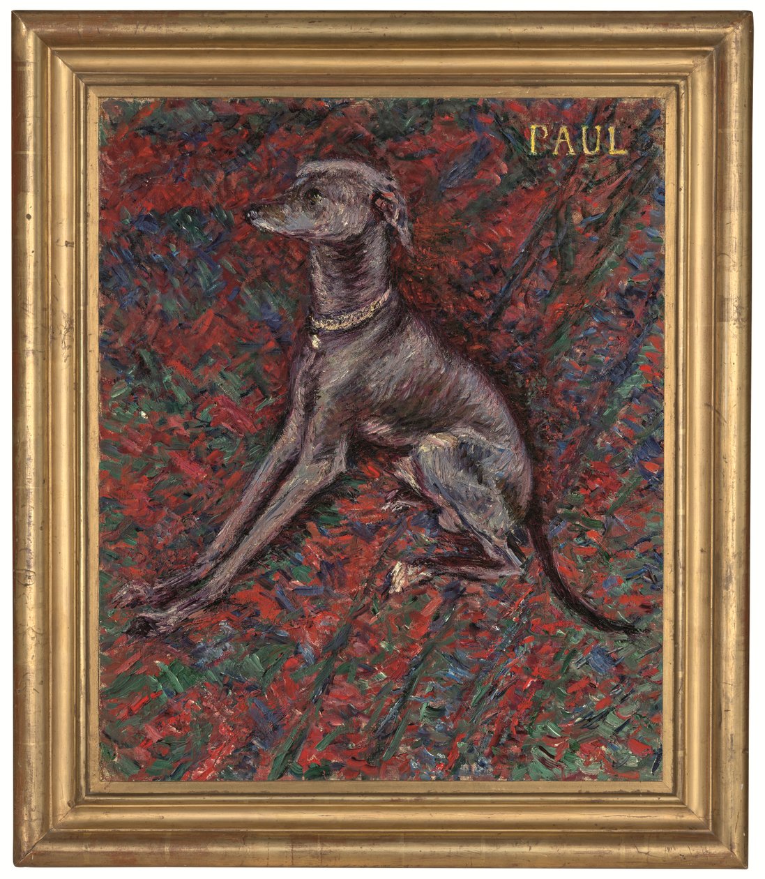 The dog 