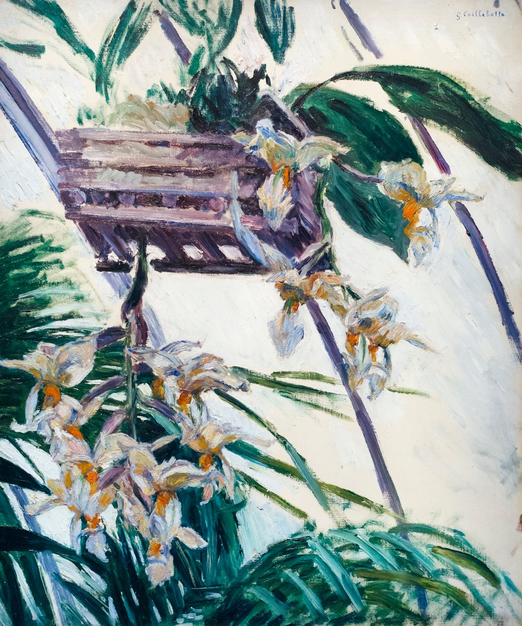 Orchids by Gustave Caillebotte