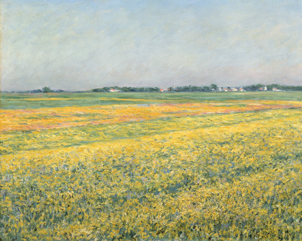 The Plain of Gennevilliers, Yellow Fields by Gustave Caillebotte