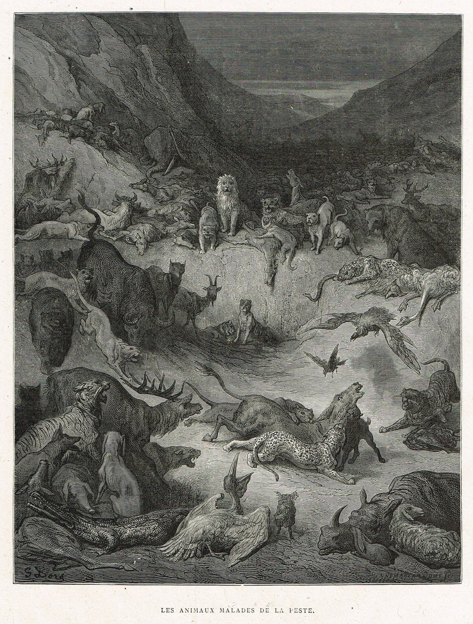 The Animals Sick of the Plague by Gustave Dore