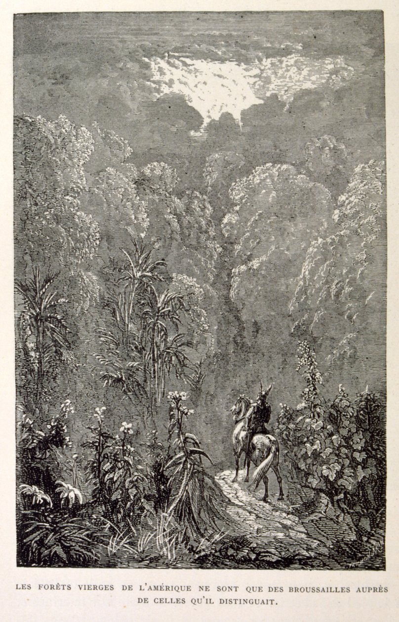 Illustration of American forest (from La legende de Croque-Mitaine) by Gustave Dore