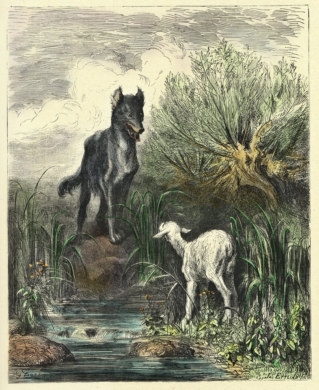 The Wolf and the Lamb (engraving 1861-1868) by Gustave Dore