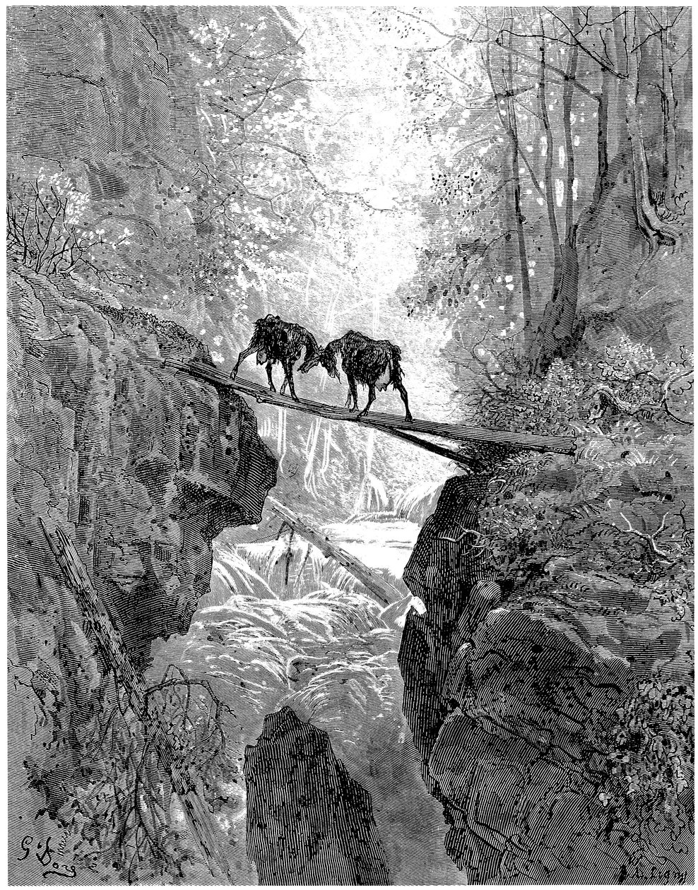 Les deux chèvres: fable by Jean de la Fontaine illustrated by Gustave Dore - forest, stream by Gustave Dore