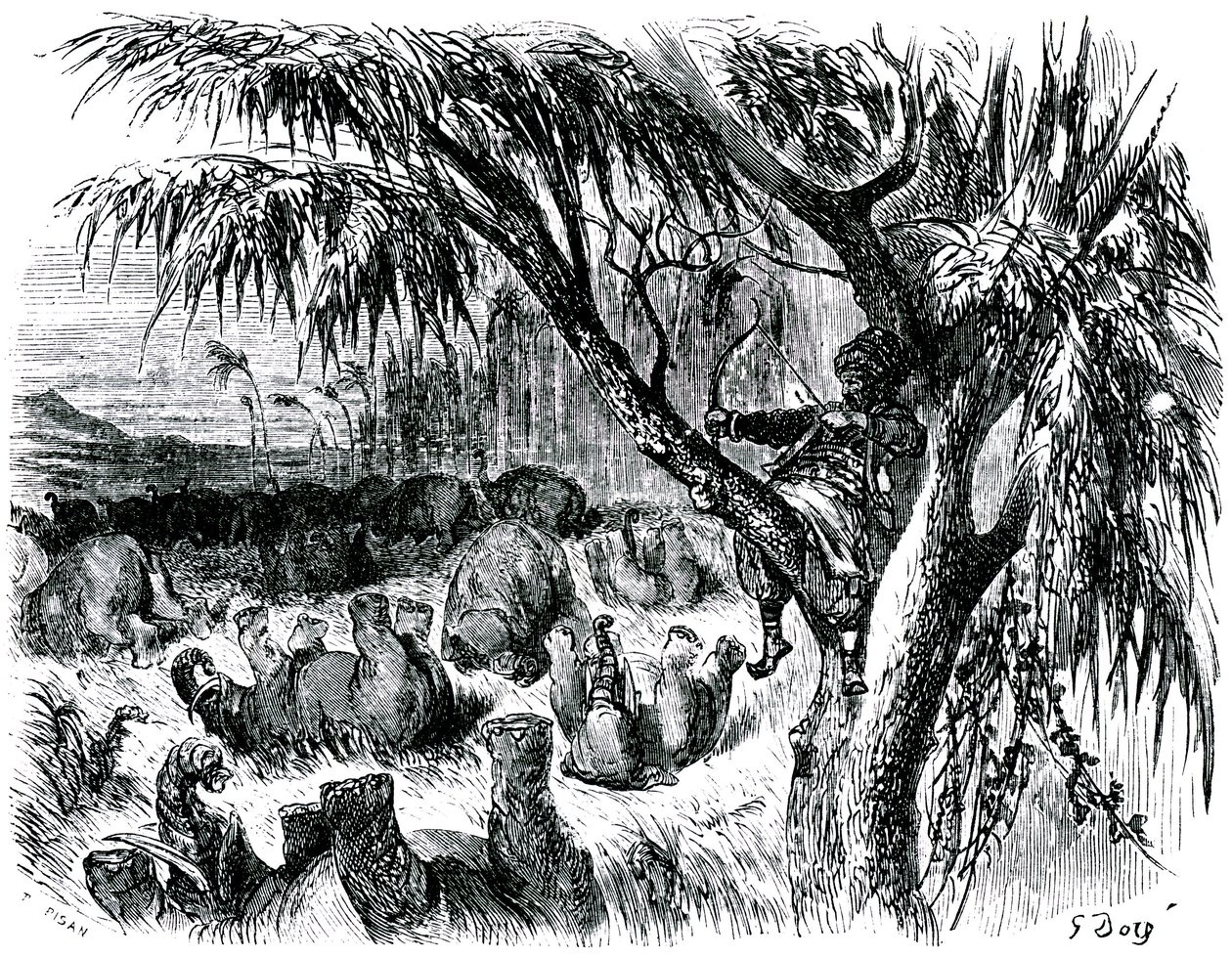 Sindbad the sailor (Sinbad) - tale of the thousand and one (1001) nights - illustration by Gustave Dore - edition Maxwell 1865 - Seventh voyage: Sindbad, perch in a tree, pulls with his bow on elephants by Gustave Dore