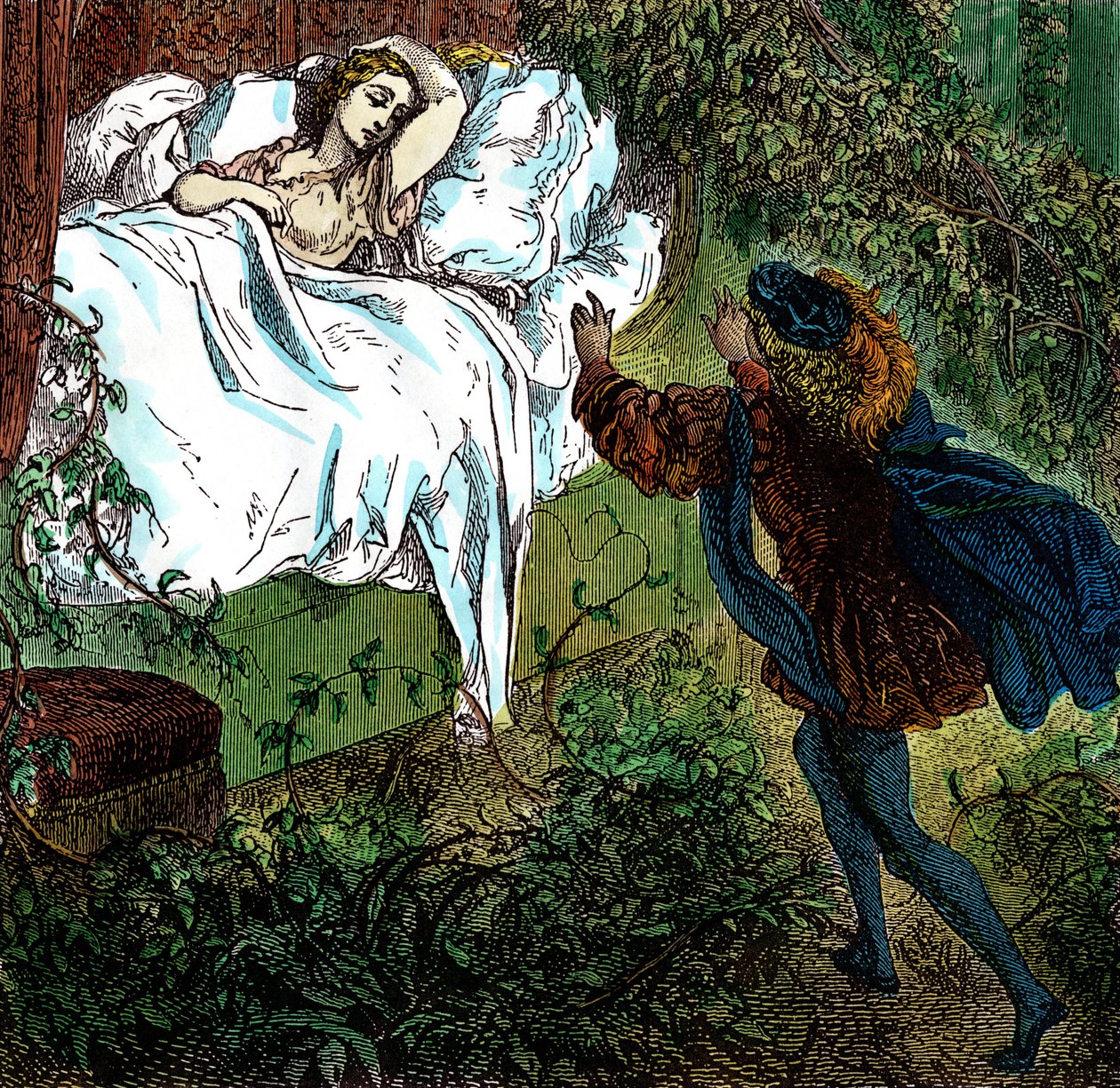 Sleeping Beauty, Prince Charming Approaches the Beautiful Sleeping ...