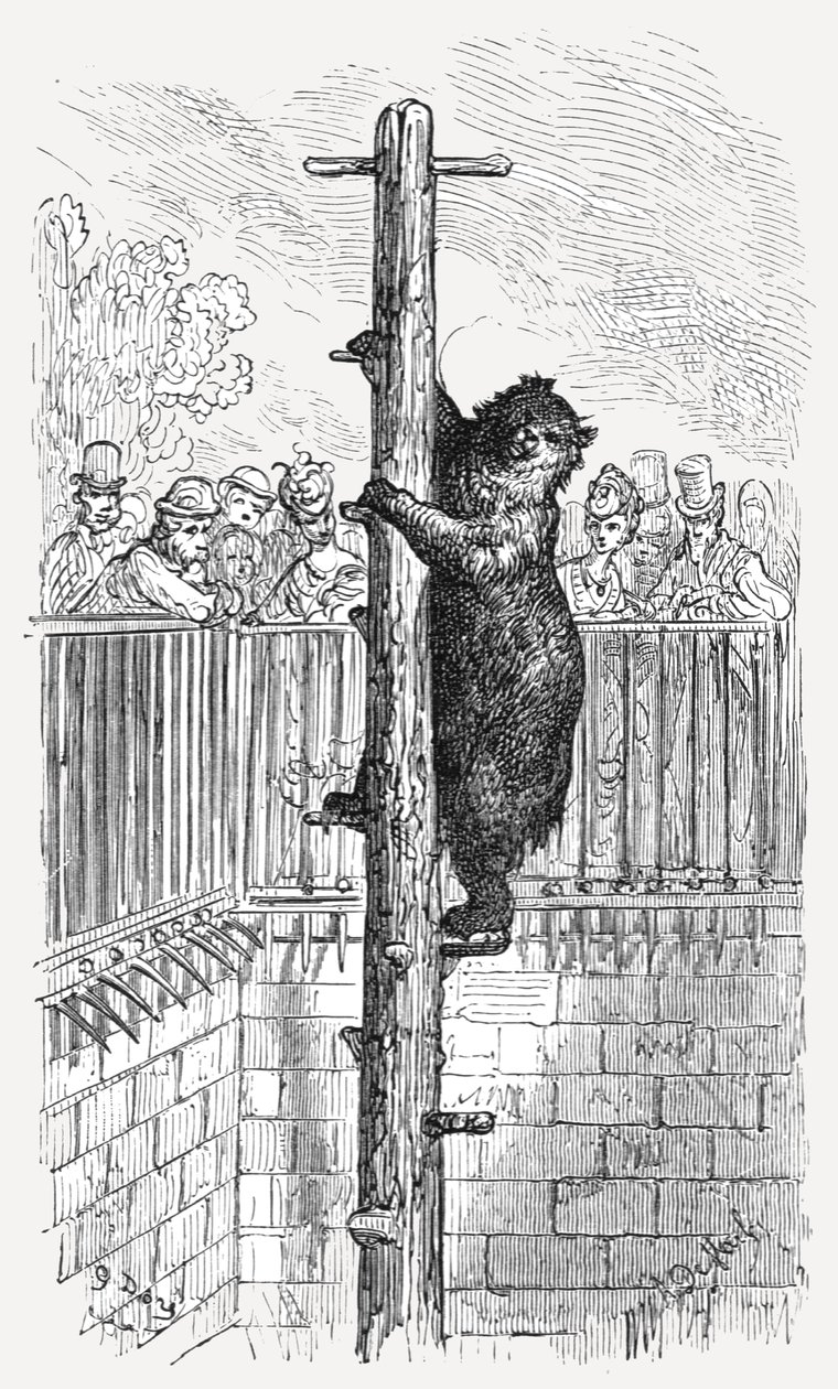 The Bear Pit - Zoological Gardens by Gustave Dore