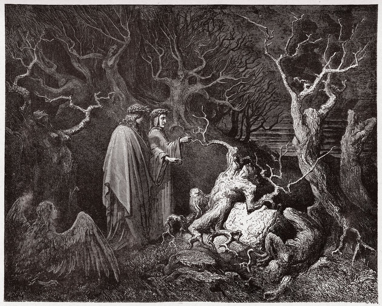 The Divine Comedy, Inferno, Canto 13: The suicides in the forest - by Dante Alighieri (1265-1321) - Illustration by Gustave Dore (1832-1883) by Gustave Dore