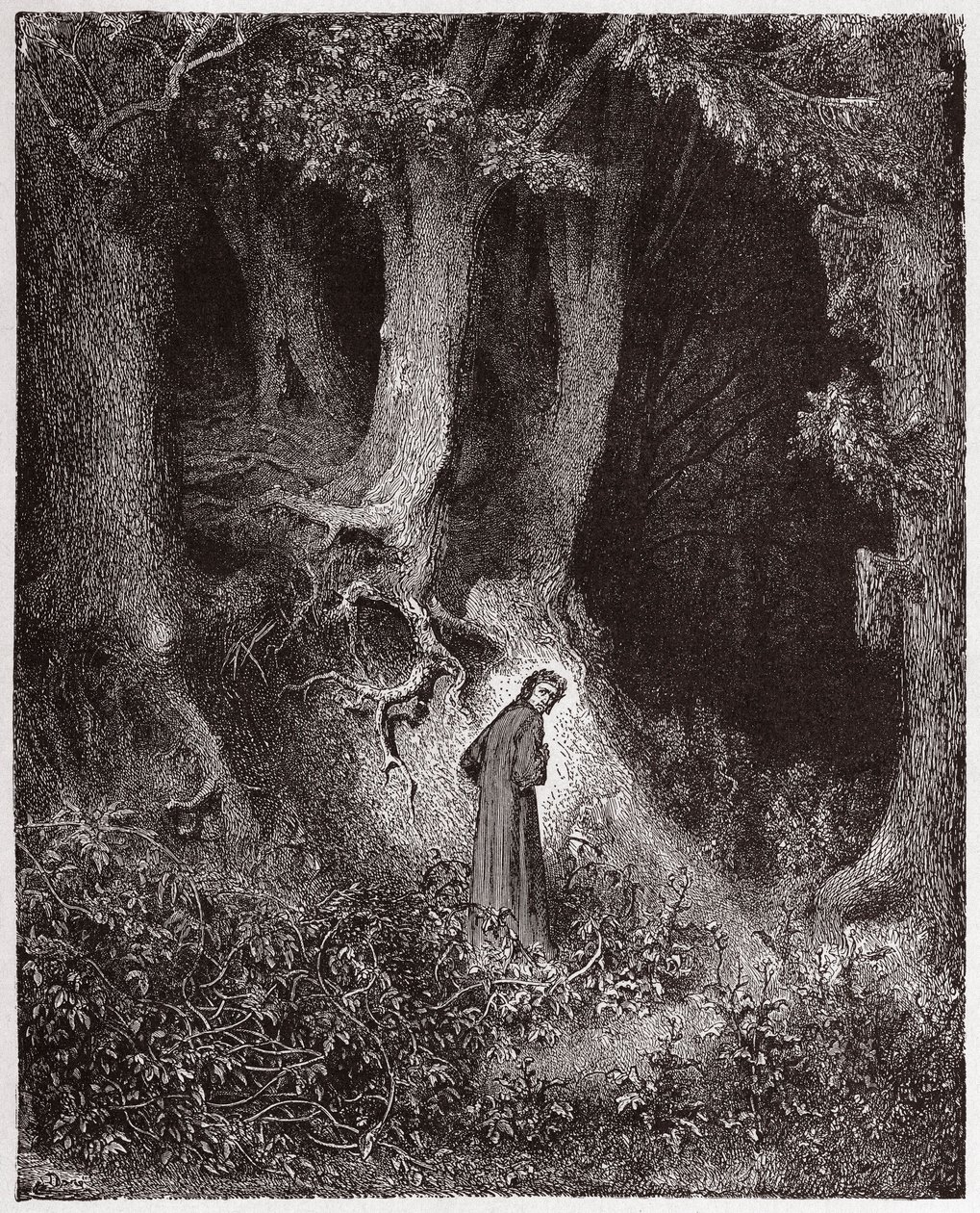 The Divine Comedy, Inferno, Canto 1: Dante in the savage wood - Illustration by Gustave Dore by Gustave Dore