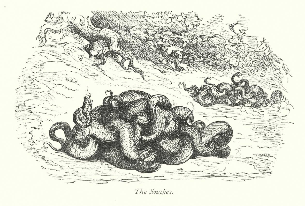 The Snakes by Gustave Dore