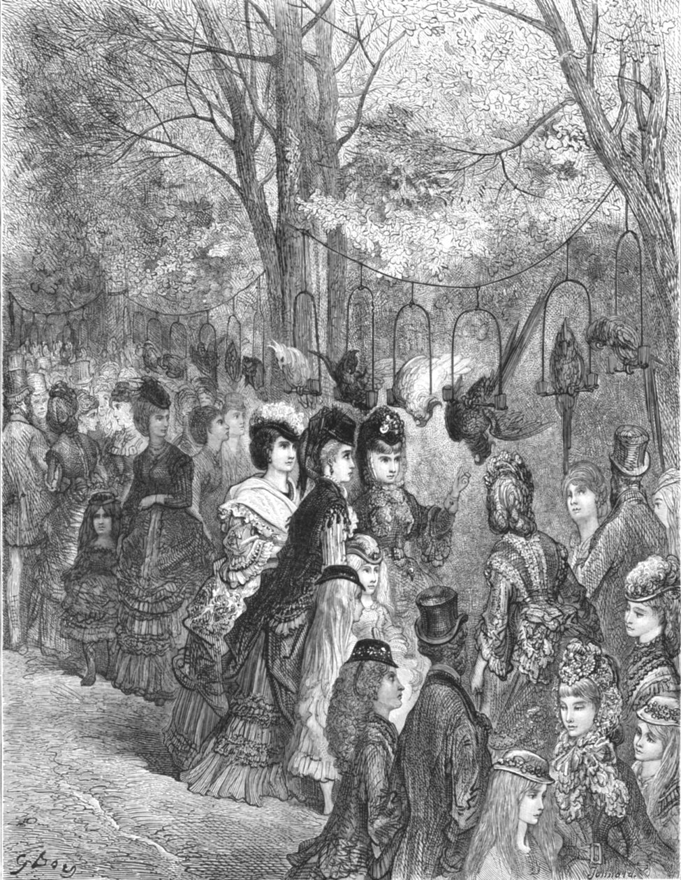 Zoological Gardens - The Parrot Walk, 1872 by Gustave Dore