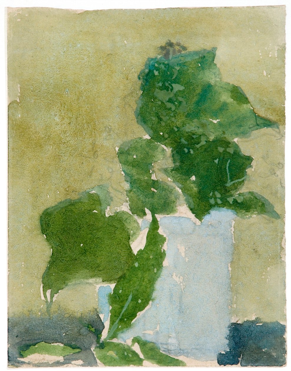 Lilies of the valley in jug, 1896-1939 by Gwendolen Mary John