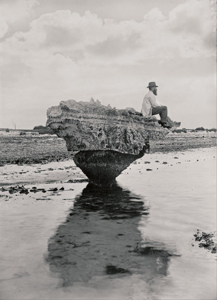 Corset Rock by H. H. Tilbrook