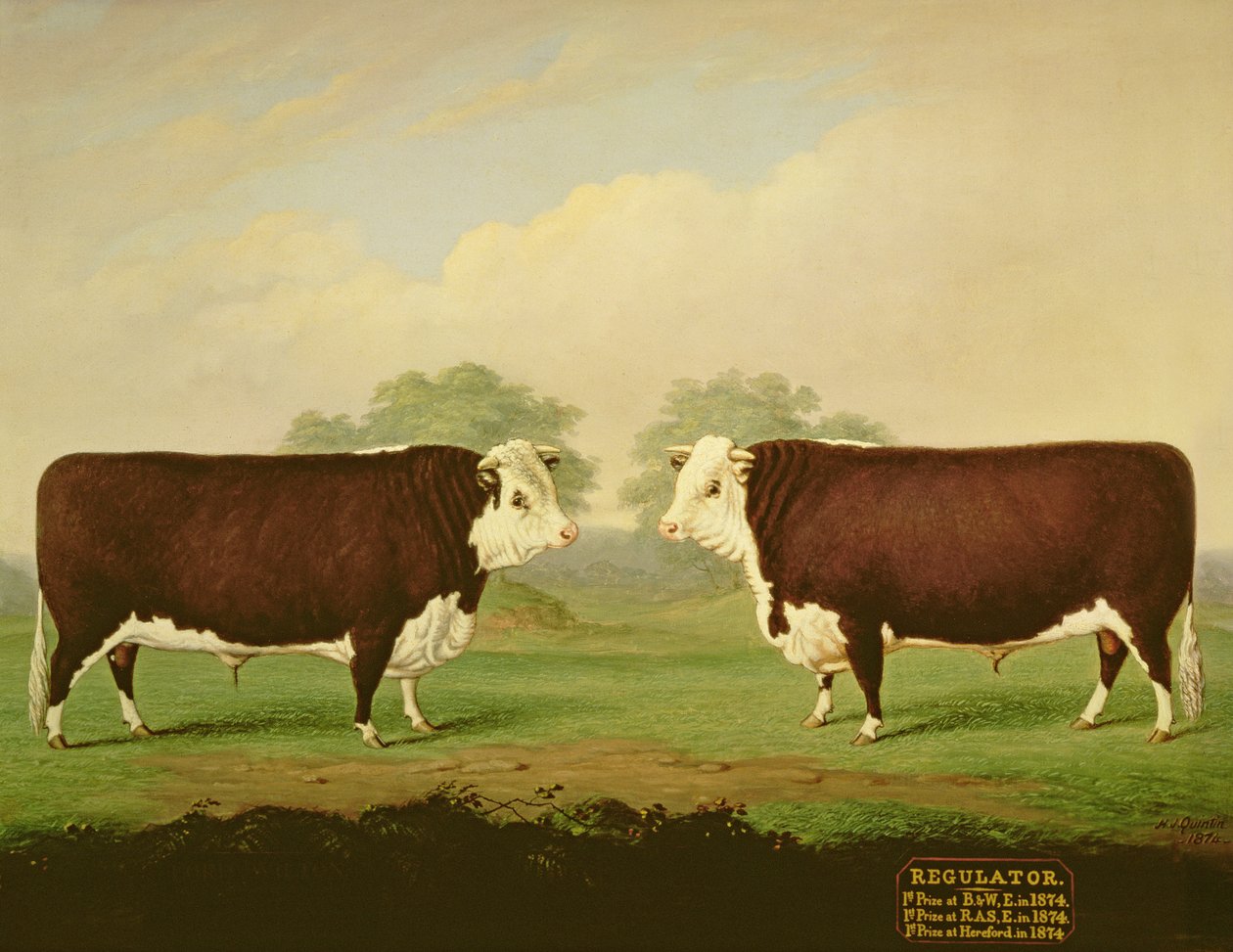 Two Views of a Prize Bull, Named Regulator by H.J. Quintin