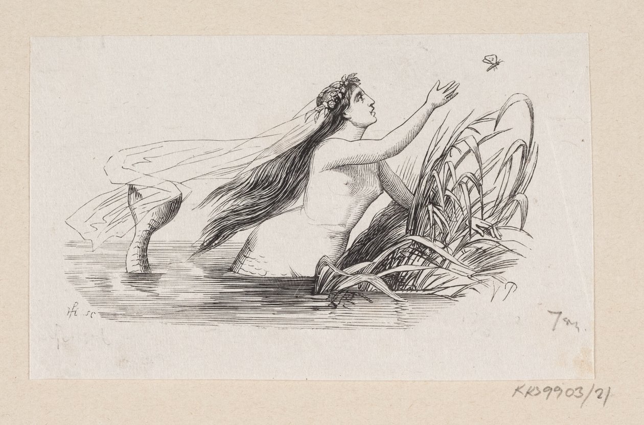 Illustration to 